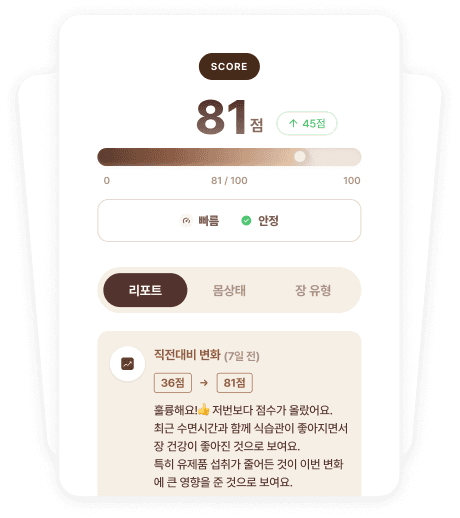 장 점수 결과 카드 예시